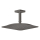 AXOR Citterio C Kopfbrause 270/270 1jet EcoSmart mit Deckenanschluss, Brushed Black Chrome