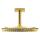 AXOR Citterio C Kopfbrause 270/270 1jet EcoSmart mit Deckenanschluss, Polished Gold Optic