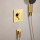 hansgrohe Ecostat Comfort E Thermostat Unterputz für 2 Verbraucher, Polished Gold Optic