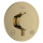 hansgrohe Ecostat Comfort S Thermostat Unterputz für 2 Verbraucher mit integrierter Sicherungskombination nach EN1717, Polished Gold Optic