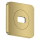 AXOR ShowerSphere Rosette 120/120 softsquare, Brushed Brass