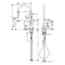 hansgrohe Talis M54 Einhebel-Küchenmischer 210,...