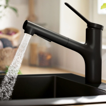 hansgrohe Zesis M33 Einhebel-Küchenmischer, 150, Ausziehbrause, 2jet, Mattschwarz