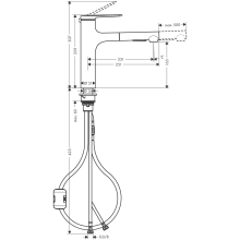 hansgrohe Zesis M33 Einhebel-Küchenmischer, 160, Ausziehbrause, 2jet, Edelstahl Finish
