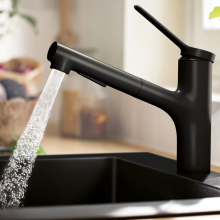 hansgrohe Zesis M33 Einhebel-Küchenmischer 150, Metall Ausziehbrause, 2jet, Mattschwarz
