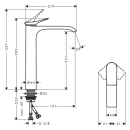 hansgrohe Vivenis Einhebel-Waschtischmischer 250 für...