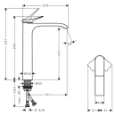 hansgrohe Vivenis Einhebel-Waschtischmischer 250 für...