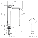 hansgrohe Vivenis Einhebel-Waschtischmischer 250...