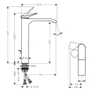 hansgrohe Vivenis Einhebel-Waschtischmischer 250...