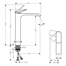 hansgrohe Vivenis Einhebel-Waschtischmischer 250...